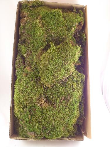 Flat moss box 1 kg.